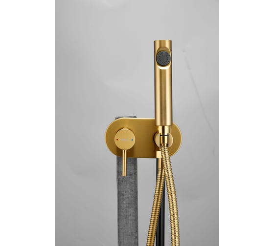 Изображение товара Смеситель с гигиенической лейкой BELZ золотой B55807-5