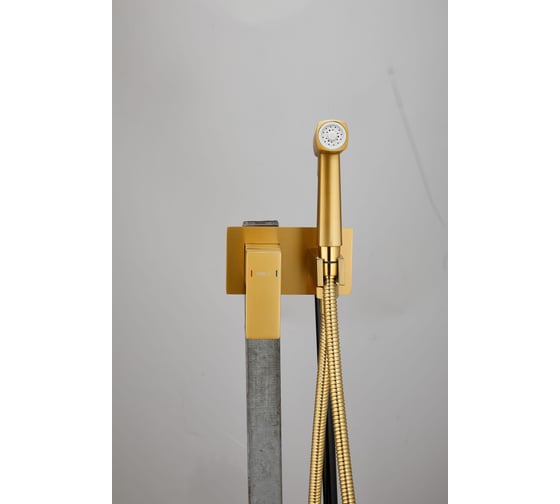 Изображение товара Смеситель с гигиенической лейкой BELZ золотой B55808-5