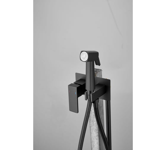 Изображение товара Смеситель с гигиенической лейкой BELZ черный B55808-7