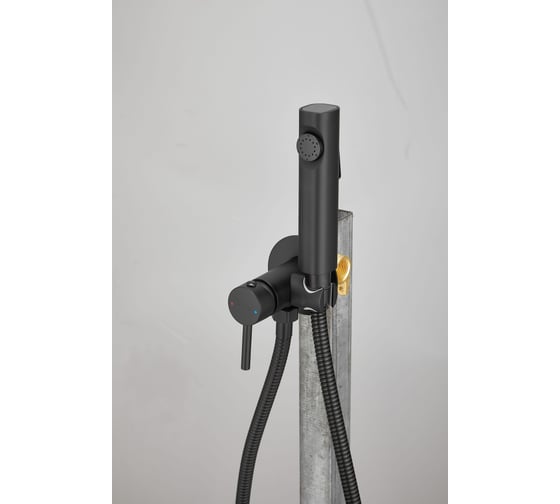 Изображение товара Смеситель с гигиенической лейкой BELZ черный B55804-7