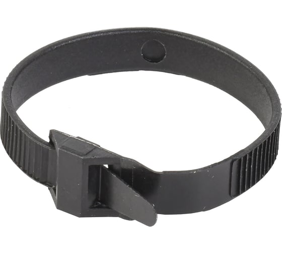 Изображение товара Хомут для СИП IEK ХС-180 100 шт. UHH21-D6-180-100