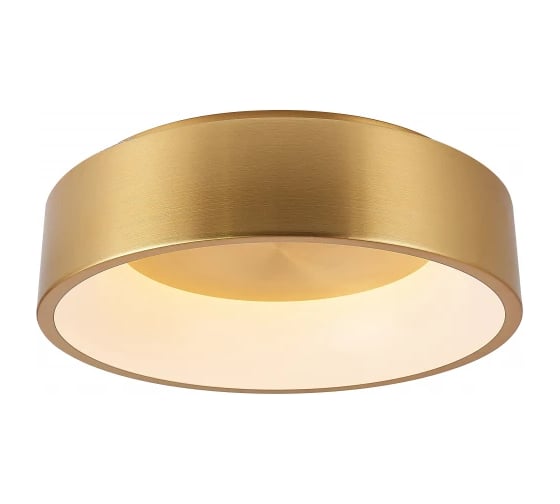 Изображение товара Потолочный светодиодный светильник MyFar Shannon MR2195-1PL