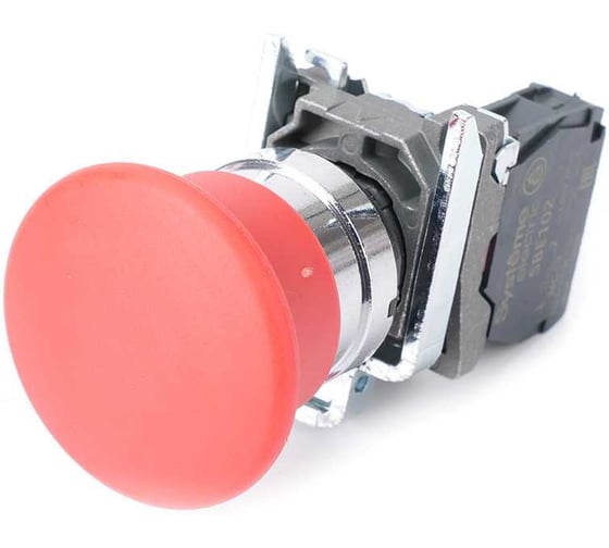 Изображение товара Кнопка Systeme Electric SB4BC42