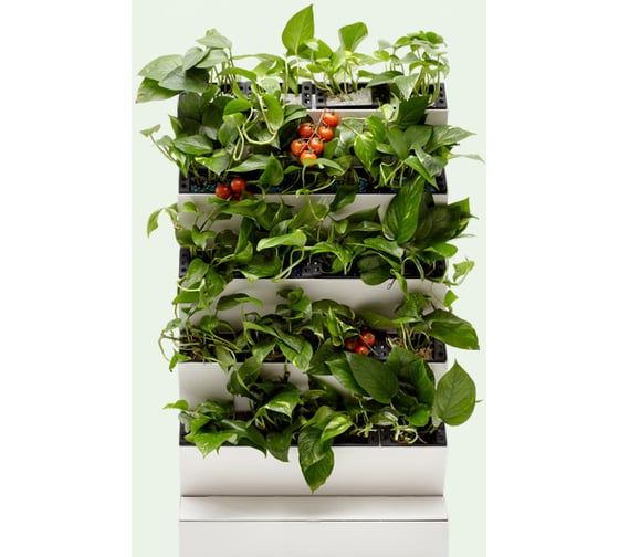 Изображение товара Автономная система озеленения Green Helper GWA-20Wi-Fi