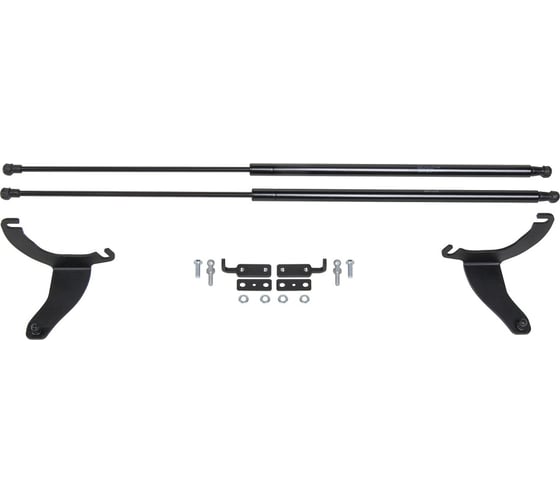 Изображение товара Амортизаторы капота 2 шт для Subaru Forester V с 2018 года АвтоУпор USUFOR011