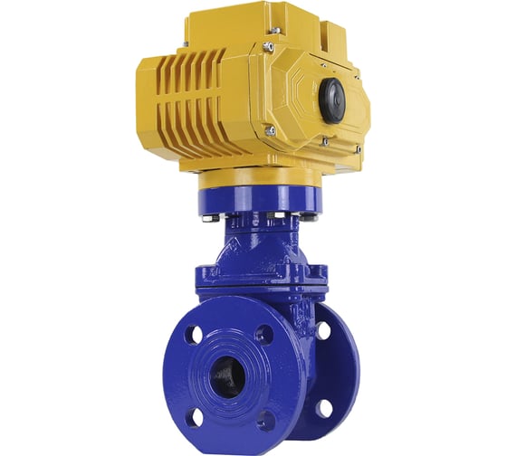 Изображение товара Задвижка клиновая DN.ru 30ч939р Ду40 Ру16 с электроприводом MT-50 220В, цвет - синий D040-00757