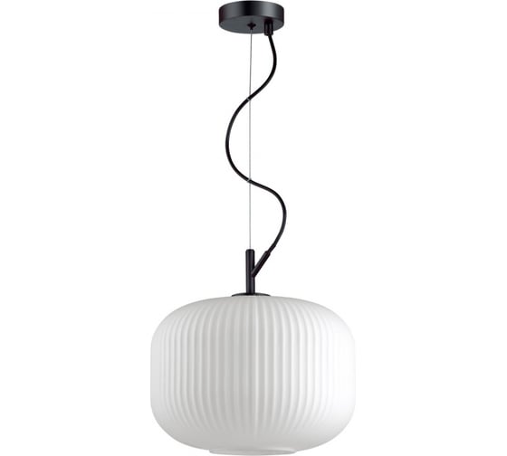 Изображение товара Подвес ODEON LIGHT, стекло E27 60W ROOFI 4754/1