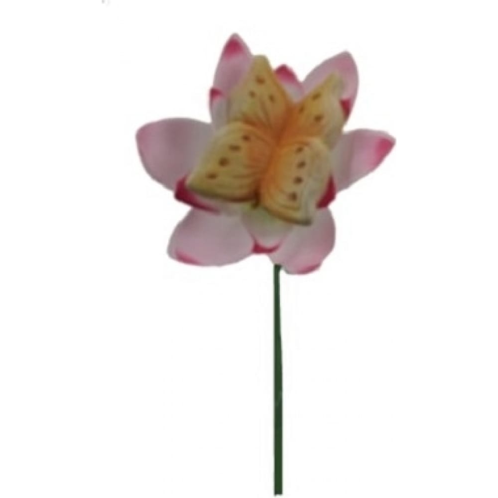 Штекер ФлораПласт ушной зажим изысканный простой гарнитур крошечные серьги модные украшения бабочка дамы