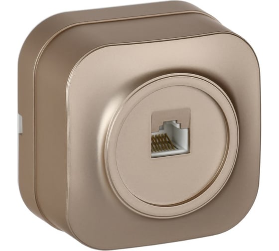 Изображение товара Розетка компьютерная IEK GLORY RJ45 кат.5E о/у РК10-ХШм шампань матовый EKH10-K37M