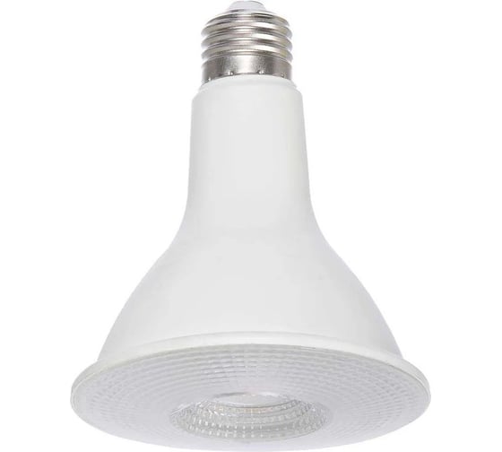 Изображение товара Светодиодная лампа Ledcraft PAR30 патрон Е-27-9 Ватт Холодный белый 1628060008