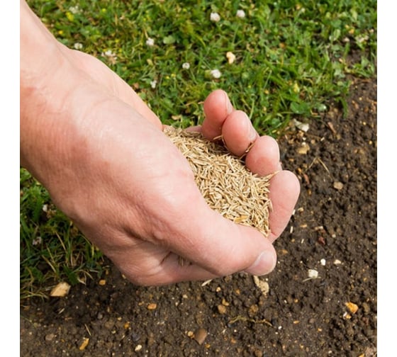 Изображение товара Семена газона Травосмесь Зеленый уголок для ремонта газона 2,5 кг 22815