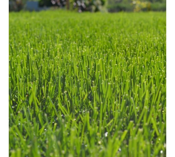Изображение товара Семена газона Зеленый уголок Газон ЭКСПРЕСС 2,5 кг 22819