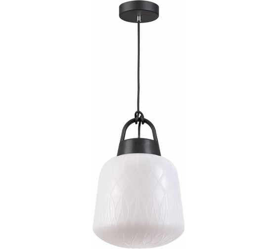 Изображение товара Ландшафтный подвес NOVOTECH пластик PE E27 60W CONTE 370601