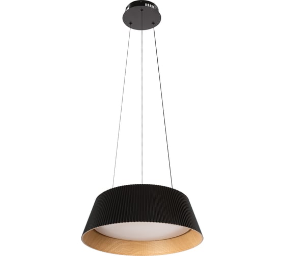 Изображение товара Подвесной светодиодный светильник LOFT IT Evans 10224P Black