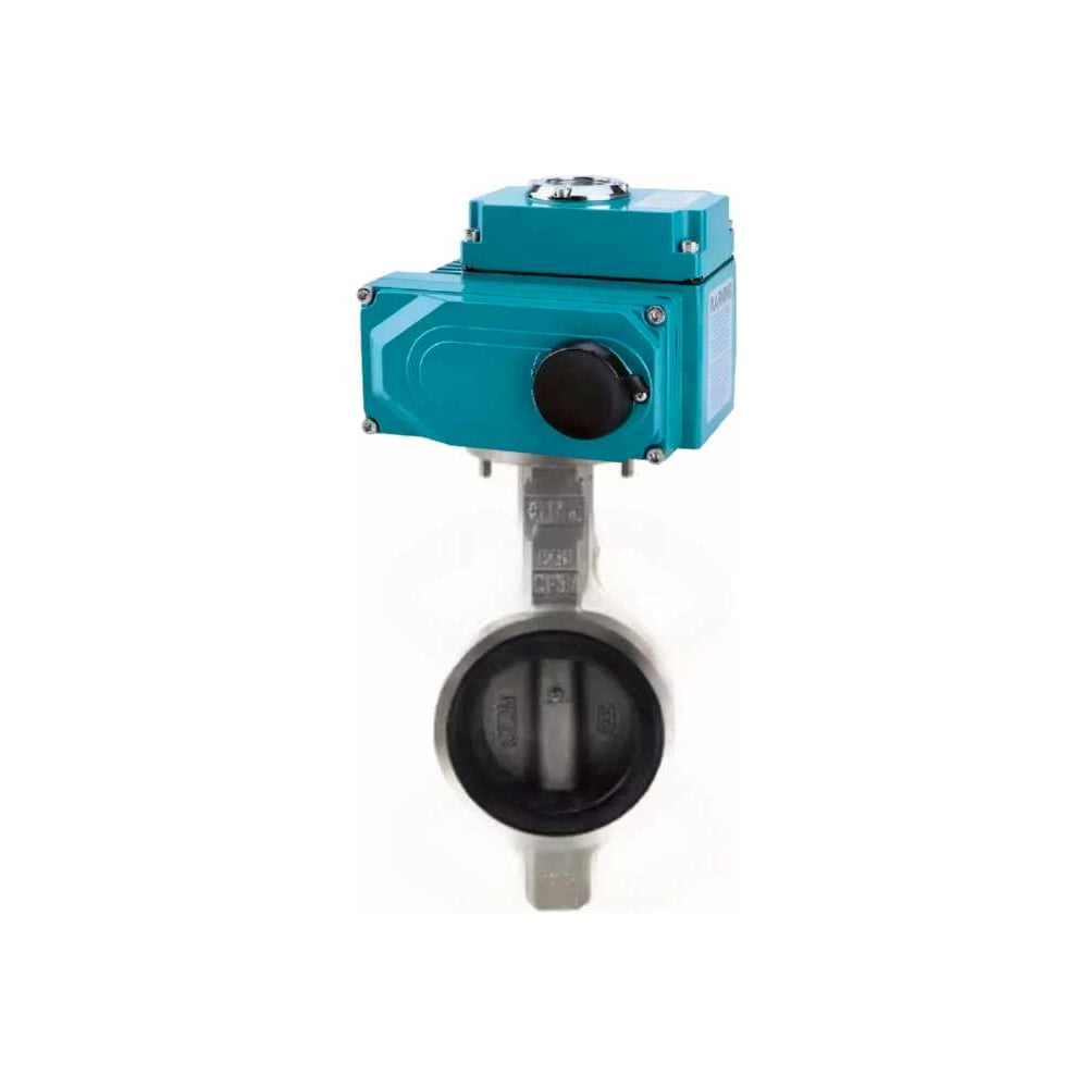 Изображение товара Затвор DN.ru 316-316-VITON-2W-Fb Ду65 с электроприводом 220В