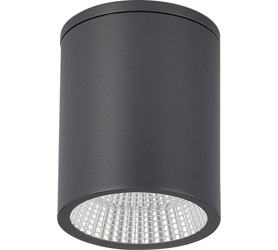 Изображение товара Светильник уличный потолочный ST LUCE серый/белый LED 1*12W 3000K/4000K/6500K SL9514.712.01