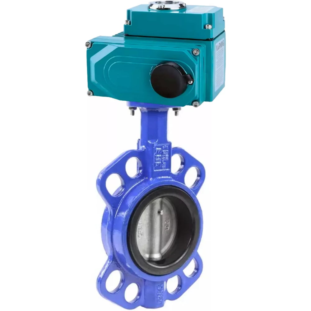 Изображение товара Профессиональный затвор DN.ru WCB-316-NBR-2W-Fb Ду100 электропривод 220В