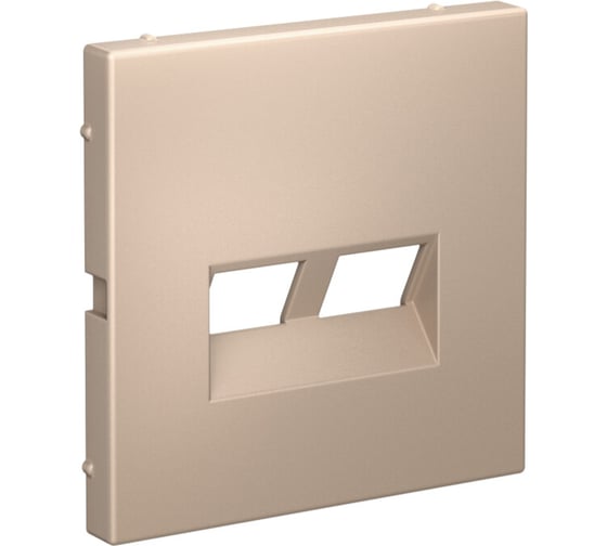 Изображение товара Накладка двойная для информационных функций типа Keystone Systeme Electric ARTGALLERY песочный GAL001290