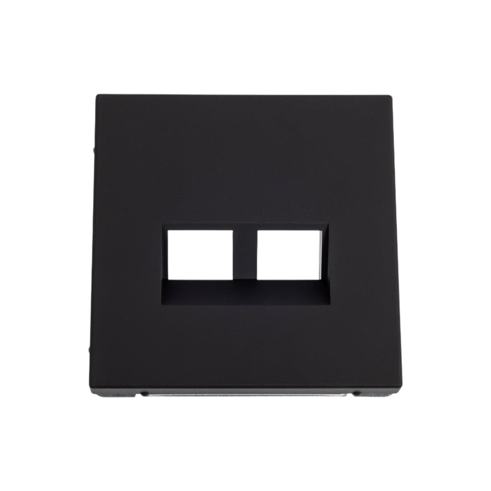 Изображение товара Двойная накладка для информационных функций Keystone Systeme Electric ARTGALLERY карбон GAL001090