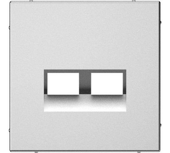 Изображение товара Накладка двойная для информационных функций типа Keystone Systeme Electric ARTGALLERY сталь GAL000990
