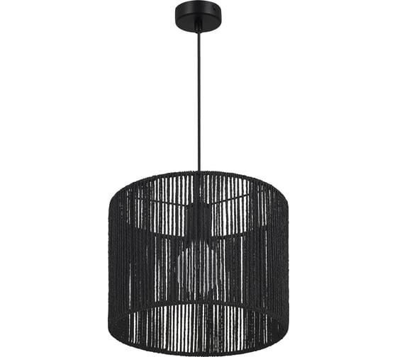 Изображение товара Светильник подвесной Evoluce черный/черный E27 1х40W SLE6024-403-01