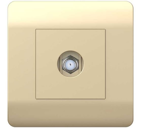 Изображение товара Розетка антенная одиночная CHINT (NEW3-E) SAT коннектор, шампань 431412