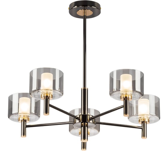 Изображение товара Люстра на штанге Citilux ELAN CL241151