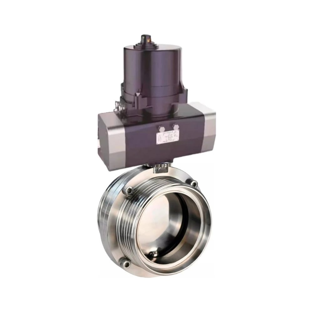 Изображение товара Затвор дисковый DN.ru 304-304-EPDM-2W-T-H Ду25 Ру10 электропривод 220В D050-81299