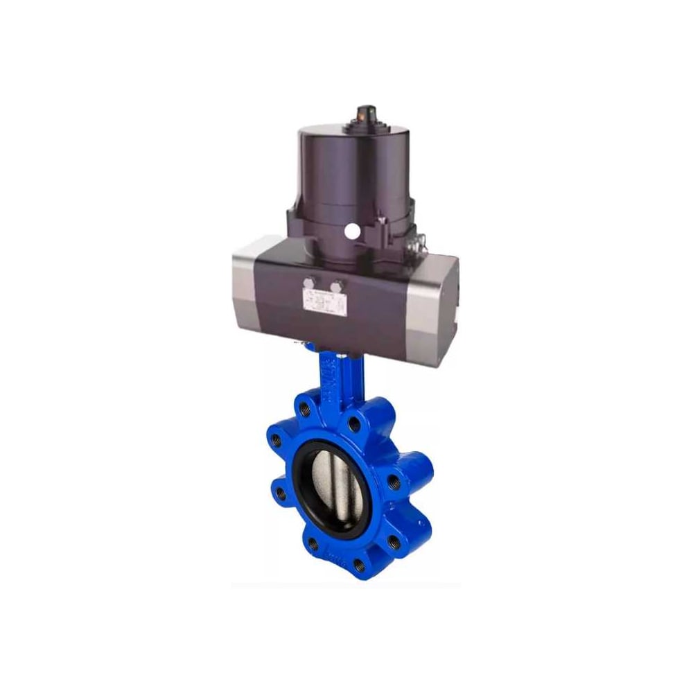 Изображение товара Затвор DN.ru QT450-304-EPDM-2W-Fb-H Ду65 Ру16 с электроприводом