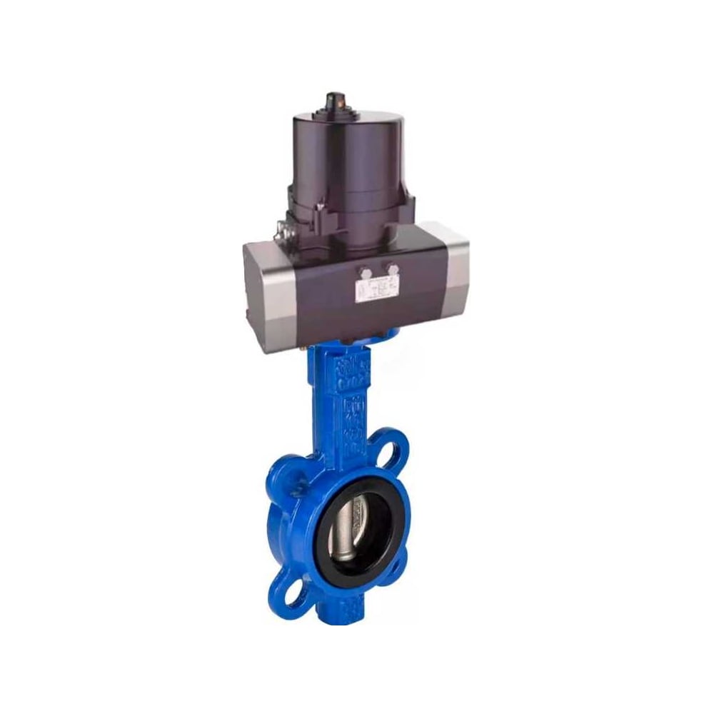 Изображение товара Дисковый затвор DN.ru WCB-316L-VITON Ду100 Ру16 электропривод 220 В профессиональный