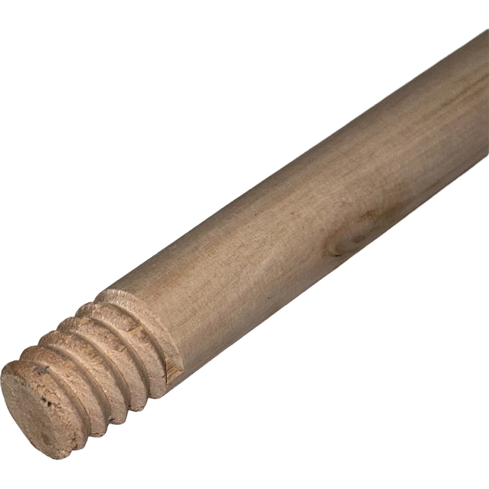 Изображение товара Черенок SAMGRUPP 120 см Дерево 22 мм резьба SAMC-087122120-50