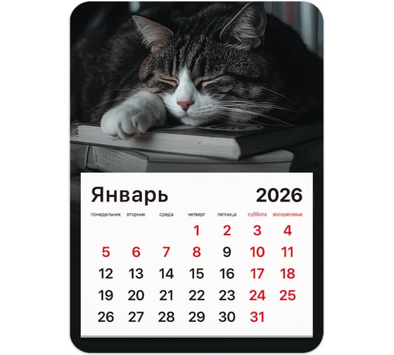 Изображение товара Календарь отрывной BRAUBERG на магните 2026, 130x180мм, склейка, Спящий кот 117292