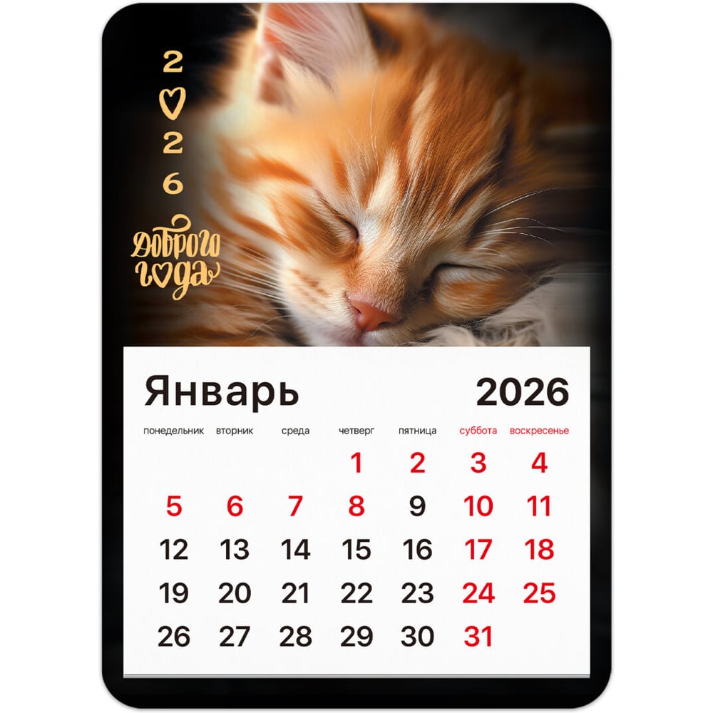 Изображение товара Отрывной календарь BRAUBERG на магните 2026, 130x180 мм, котик