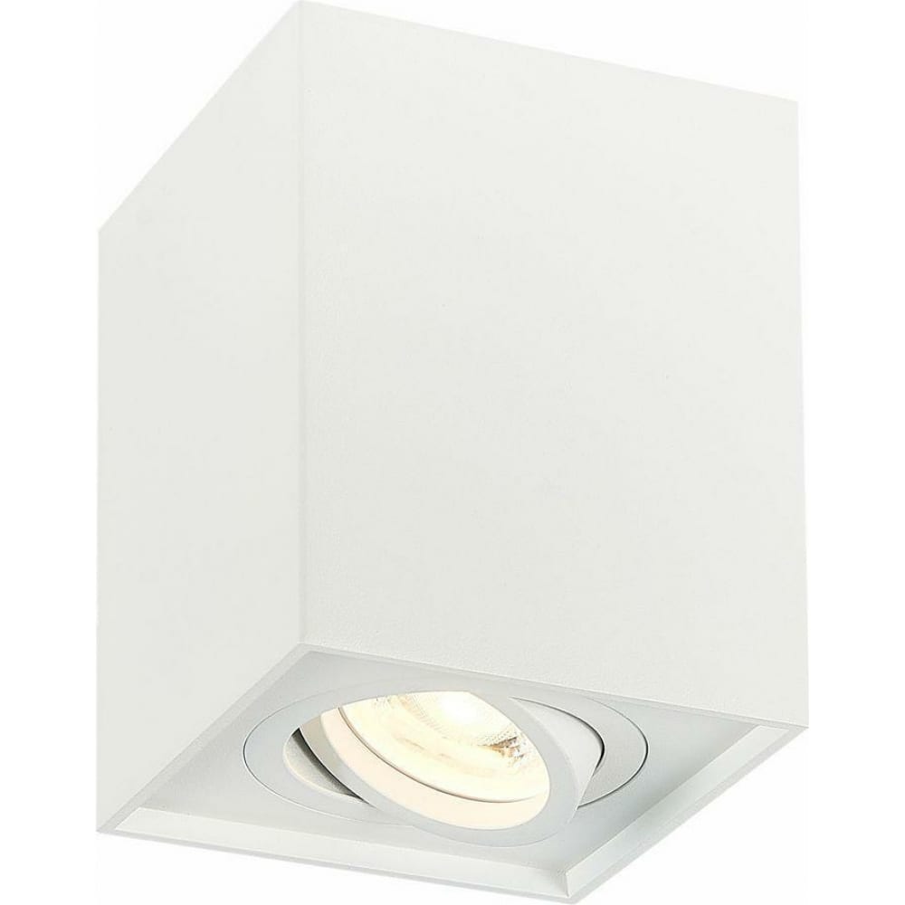 Потолочный светильник ST luce - ST109.507.01