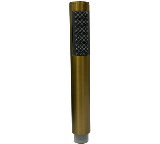 Изображение товара Лейка для гигиенического душа Raiber золото RPG-20