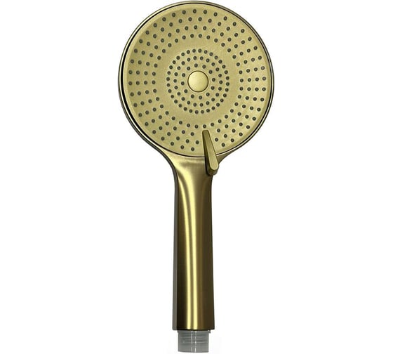Изображение товара Лейка для душа Raiber золото RPG-21