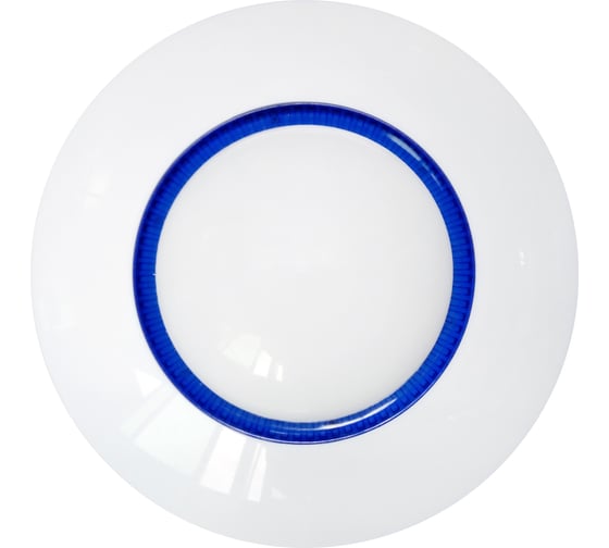 Изображение товара Датчик движения Viguard, потолочного размещения, 433 МГц PLAFOND F