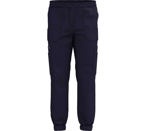 Изображение товара Джоггеры СОЮЗСПЕЦОДЕЖДА Эргофайв Актив (ERGOFIVE Active) EAPU03 т.синие, 52 (L) 2000000296395