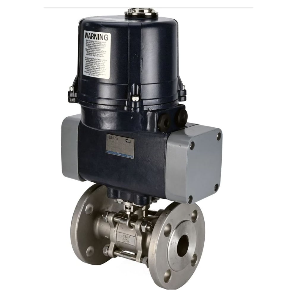 Изображение товара Кран DN.ru 316-316-FP-F-ISO-H Ду65 Ру40 из нержавеющей стали промышленные двухходовые