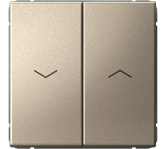 Изображение товара Выключатель для жалюзи Systeme Electric ARTGALLERY 2-клавишный, 2х сх.4, 10А, механизм, быстрозажим. клем., шампань GAL000519S