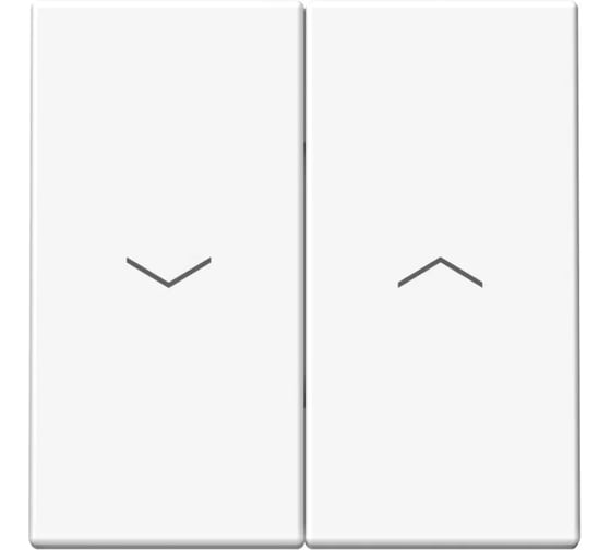 Изображение товара Выключатель для жалюзи Systeme Electric ARTGALLERY 2-клавишный, 2х сх.4, 10А, механизм, быстрозажим. клем., лотос GAL001319S