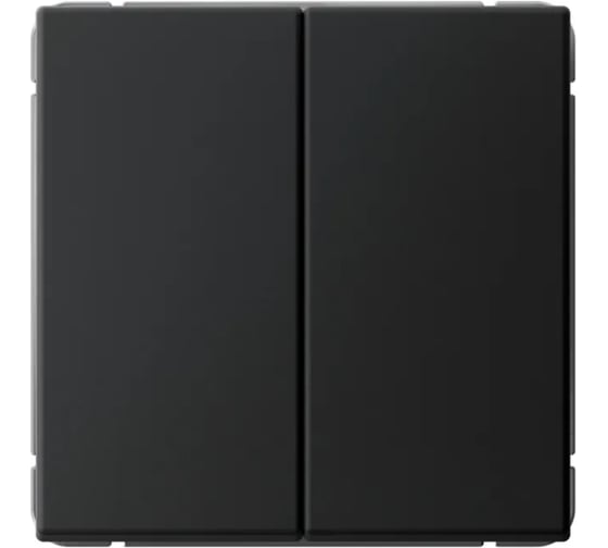 Изображение товара Выключатель кнопочный Systeme Electric ARTGALLERY 2-клавишный, 10АХ, механизм, быстрозажим. клем., карбон GAL001017S