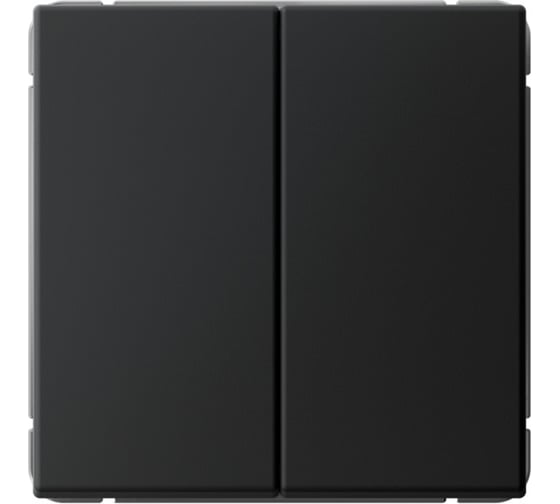 Изображение товара Переключатель Systeme Electric ARTGALLERY 2-клавишный, 10АХ, механизм, быстрозажим. клем., карбон GAL001065S