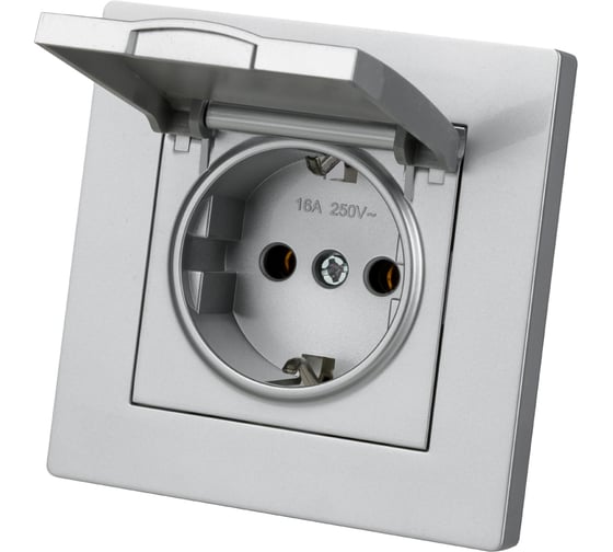 Изображение товара Розетка TDM ELECTRIC 2П+З 16А 250В IP44 с крышкой серебр. металлик "Сенеж" SQ1816-0238