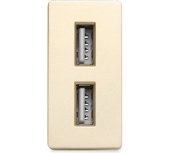 Изображение товара Розетка золотая, 1/2, USB A + USB A разъем, 2,4 А, 5 В, модуль, Vell 1379005