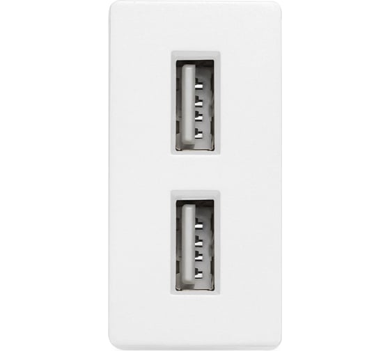 Изображение товара Розетка Vell белая, 1/2, USB A + USB A разъем, 2,4 А, 5 В, модуль, WH-1/2-AA 1379002