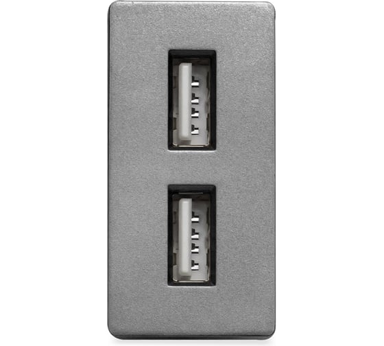 Изображение товара Розетка Vell серая, 1/2, USB A + USB A разъем, 2,4 А, 5 В, модуль, GY-1/2-AA 1379004