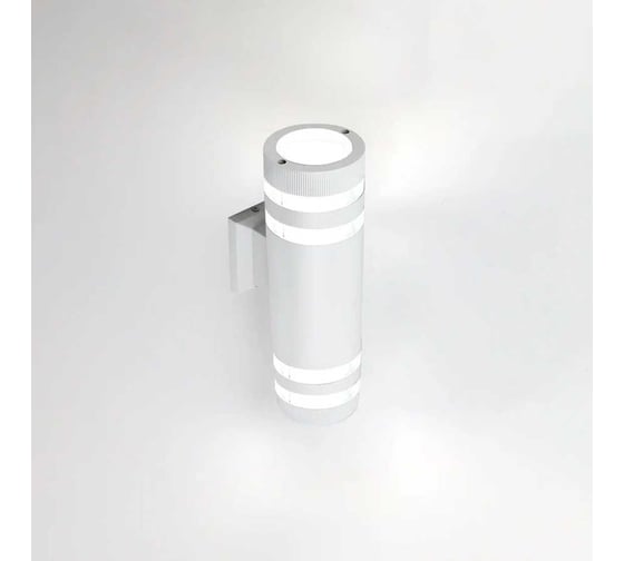 Изображение товара Фасадный уличный светильник накладной General Lighting Systems с двойным боковым рассеивателем серия Игнис, GWL-2Е27-M-IP65 662595