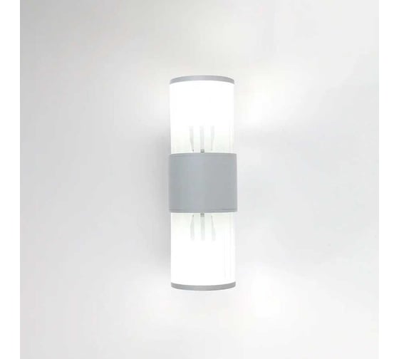 Изображение товара Фасадный уличный светильник накладной General Lighting Systems серия Кальдера, GWL-2E27-M-IP65, под 2 лампы Е27 до 50Вт, металл 662663