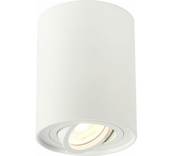 Изображение товара Потолочный светильник ST LUCE TORUS ST108.517.01